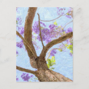 Carte Postale Jacaranda Tree