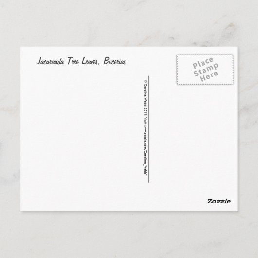 Carte Postale Jacaranda Tree Feuilles (Dos)