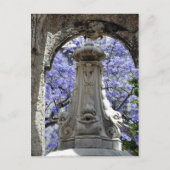 Carte Postale Jacarandi (Devant)