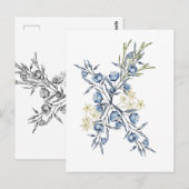 Carte Postale Jacinthe des bois  (Devant / Derrière)