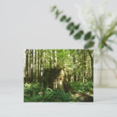 Carte Postale Jack dans le vert (Debout devant)