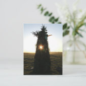 Carte postale Jack-in-the-Green - Winchcombe (Debout devant)