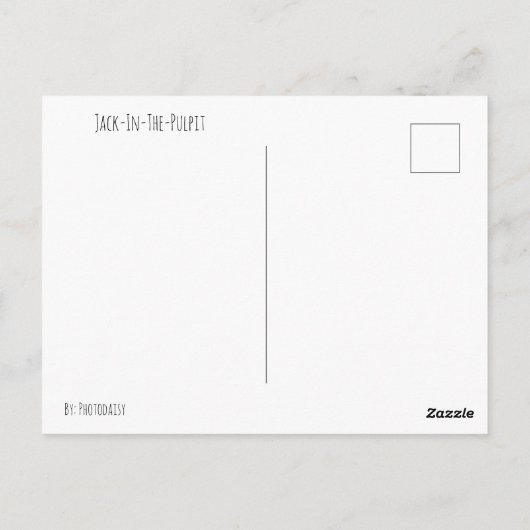 Carte postale Jack-In-The-Pulpit (Dos)