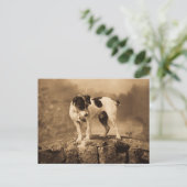 Carte Postale Jack le Vintage Jack Russell Terrier (Debout devant)