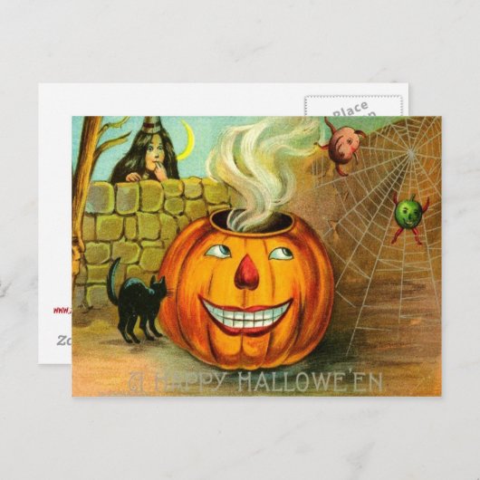 Carte Postale Jack-o'-lantern Citrouille Black Cat araignée Web (Devant / Derrière)