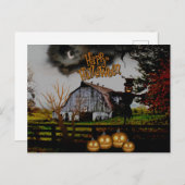 Carte Postale *~* Jack-o-Lanterns - Scarecrow HALLOWEEN (Devant / Derrière)