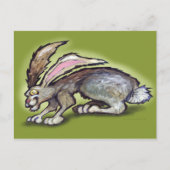 Carte Postale Jack Rabbit (Devant)