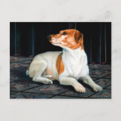 Carte Postale Jack Russel Postcard (Devant)