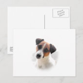 Carte postale Jack Russell (Devant / Derrière)
