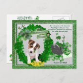 Carte Postale Jack Russell New Pup 1 St Patty’s You’have Mail (Devant / Derrière)