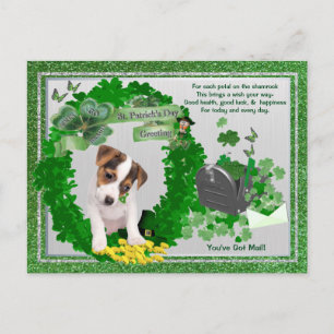 Carte Postale Jack Russell New Pup 1 St Patty’s You’have Mail