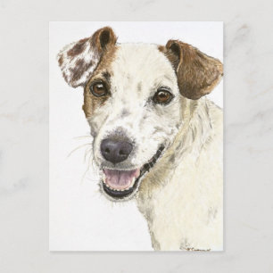 Carte Postale Jack Russell Terrier