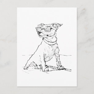 Carte Postale Jack Russell Terrier