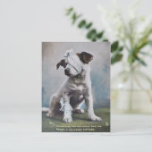 Carte Postale Jack Russell terrier (Debout devant)