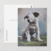 Carte Postale Jack Russell terrier (Devant / Derrière)