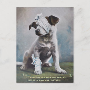 Carte Postale Jack Russell terrier