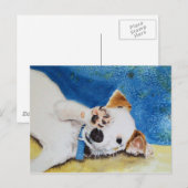 Carte postale Jack Russell Terrier (Devant / Derrière)