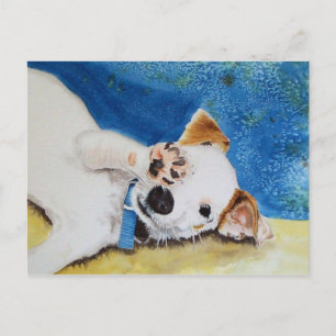 Carte postale Jack Russell Terrier