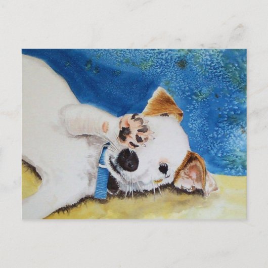 Carte postale Jack Russell Terrier (Devant)