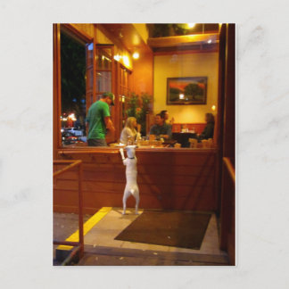 Carte Postale Jack Russell Terrier a restaurant window.