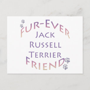 Carte Postale Jack Russell Terrier Furever