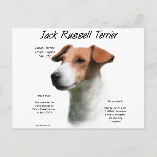 Carte Postale Jack Russell Terrier Histoire (Devant)