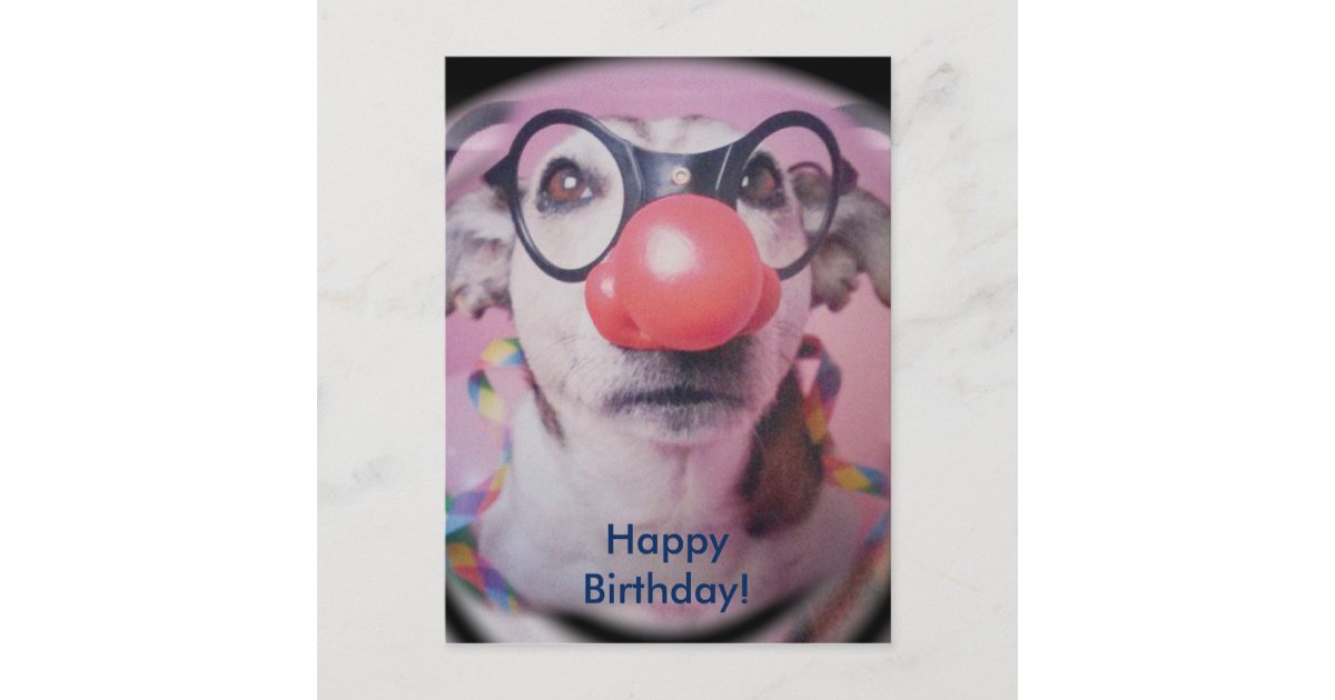 Carte Postale Jack Russell Terrier Joyeux Clown D Anniversaire Zazzle Be