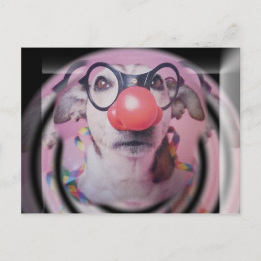 Carte Postale Jack Russell Terrier Joyeux Clown d'anniversaire (Devant)