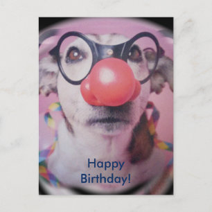 Carte Postale Jack Russell Terrier Joyeux Clown d'anniversaire