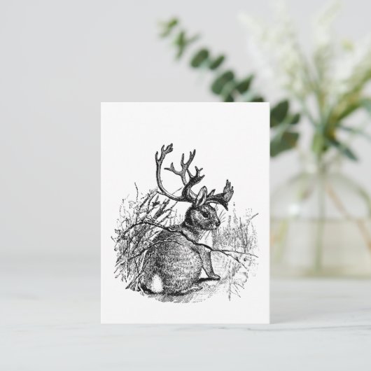 Carte Postale jackalope (Debout devant)