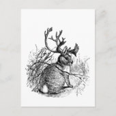 Carte Postale jackalope (Devant)