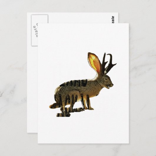Carte Postale Jackalope (Devant / Derrière)