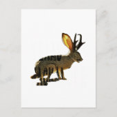 Carte Postale Jackalope (Devant)