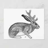 Carte Postale Jackalope (Devant)