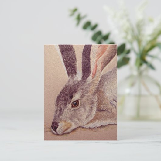 Carte Postale Jacklapin (Debout devant)