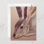 Carte Postale Jacklapin (Devant / Derrière)