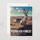 Carte Postale Jackrabbit Petrified Forest National Park Souvenir (Devant / Derrière)