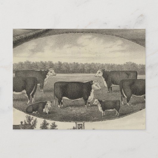 Carte Postale Jackson Farm, Kansas (Devant)
