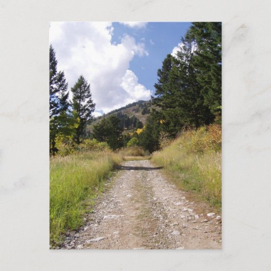 Carte Postale Jackson Hole Wyoming Series (Devant)
