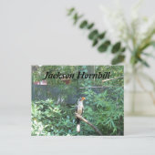 Carte Postale Jackson Hornbill (Debout devant)