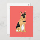 Carte Postale Jackson Le Berger Allemand Dapper (Devant / Derrière)