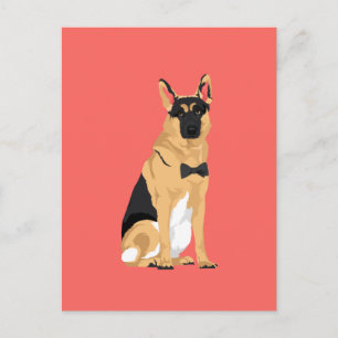 Carte Postale Jackson Le Berger Allemand Dapper