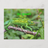 Carte Postale Jacksons Chameleon (Devant)