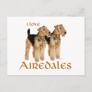 Carte Postale J'adore les Airedales