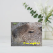 Carte Postale J'adore les capybaras (Debout devant)