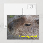 Carte Postale J'adore les capybaras (Devant / Derrière)