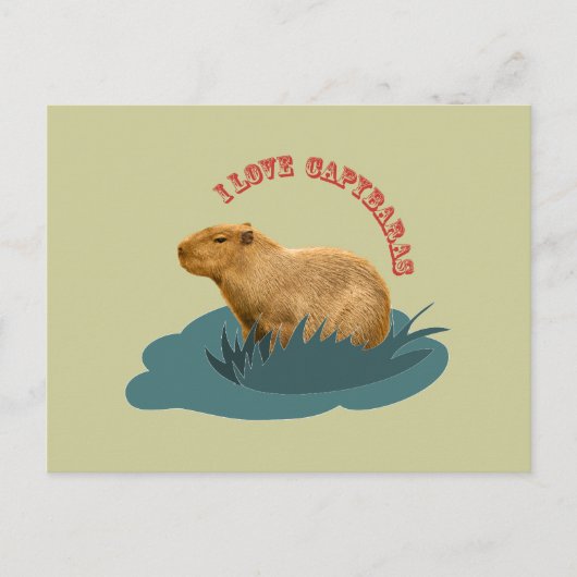 Carte Postale J'adore les capybaras (Devant)