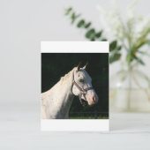 CARTE POSTALE J'ADORE LES CHEVAUX (Debout devant)