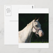 CARTE POSTALE J'ADORE LES CHEVAUX (Devant / Derrière)