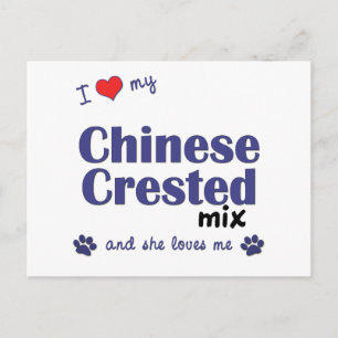 Carte Postale J'adore mon mélange de Chinese Crested (Chien feme